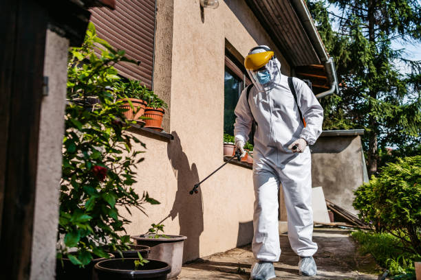 Reliable Beach Park, IL Pest Control Solutions