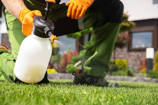 Best Wildlife Control Services  in Beach Park, IL