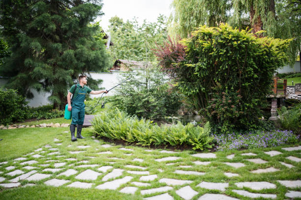 Best Affordable Pest Control Services  in Beach Park, IL