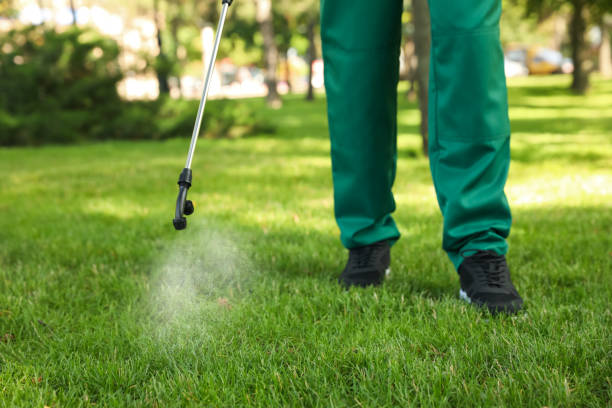 Best Flea Control Services  in Beach Park, IL