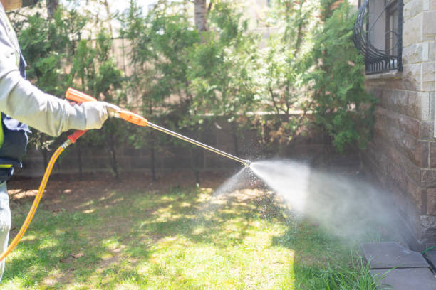 Best Best Pest Control Companies  in Beach Park, IL